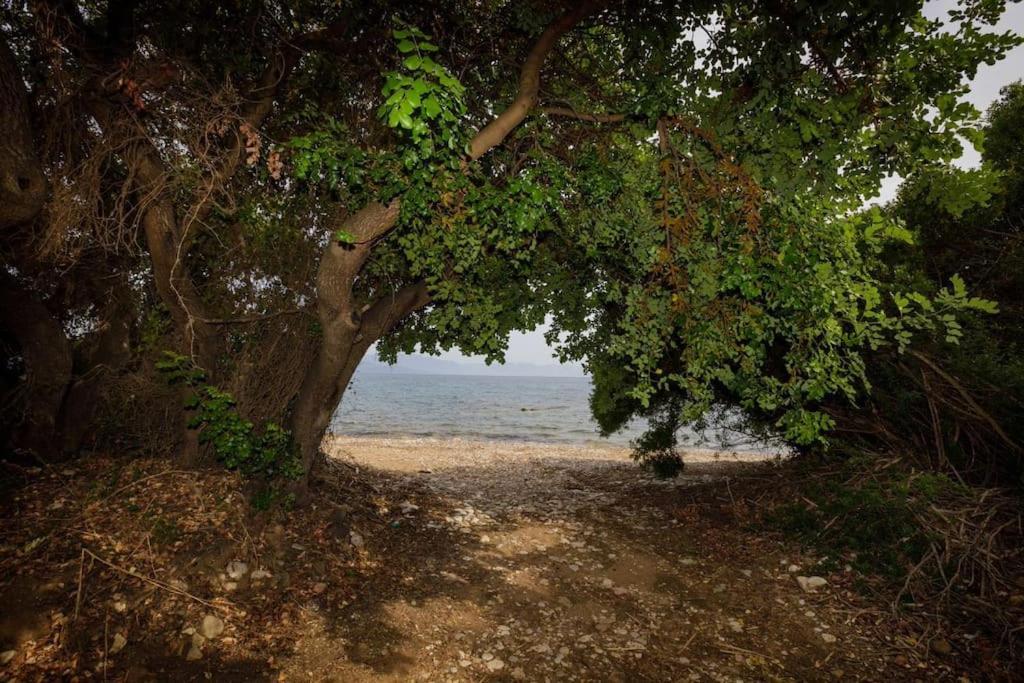 Alethea's Sea View * Kalamaki (Messinia)