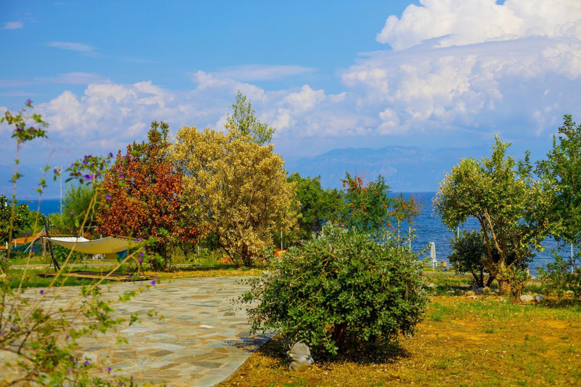 Alethea's Sea View Apartment *