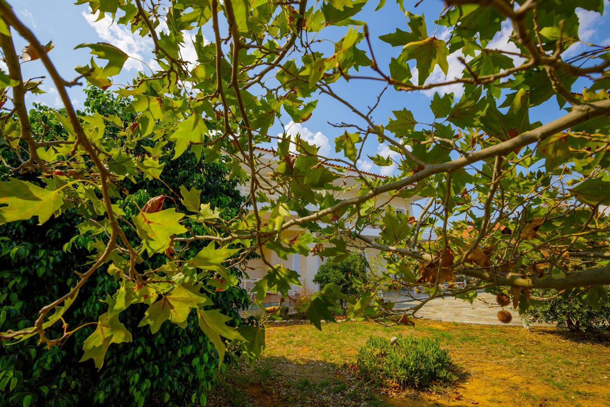 Alethea's Sea View * Kalamaki (Messinia)
